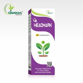 Headmark