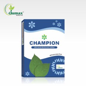 Champion