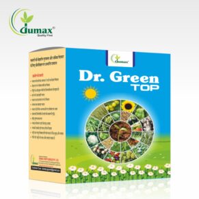 Dr. Green Top