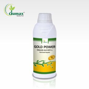 Gold Power