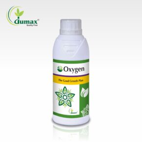 Oxygen