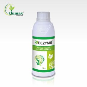 Dezyme