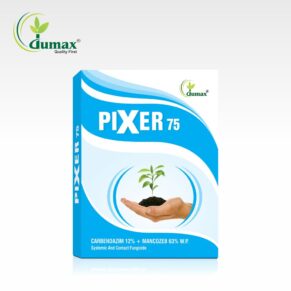 Pixer 75