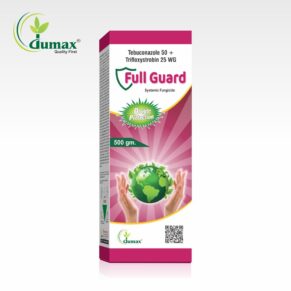 Full Guard