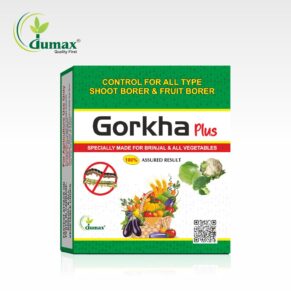 Gorkha Plus