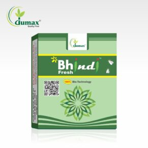 Bhindi Fresh