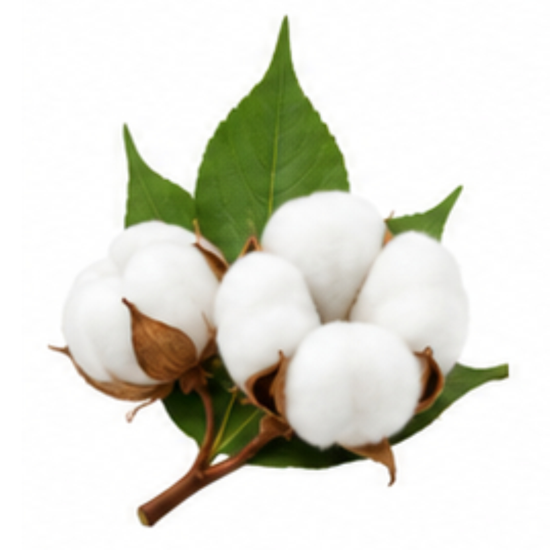 cotton