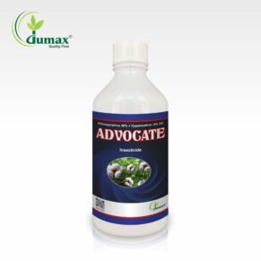 Advocate