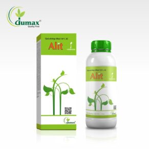Alit