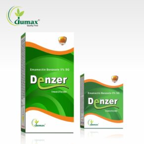 Denzer