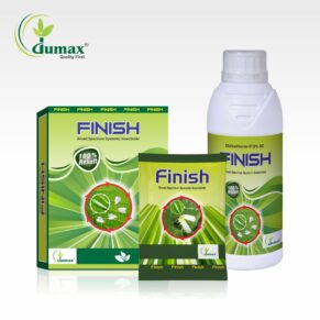 Finish