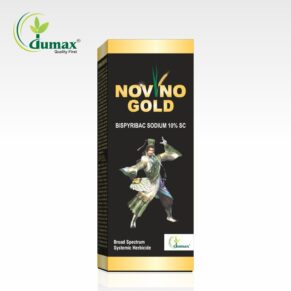 Novino Gold