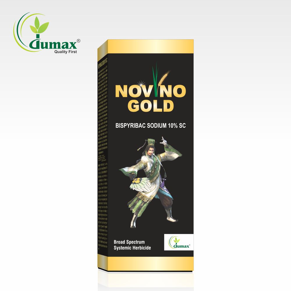 Novino Gold