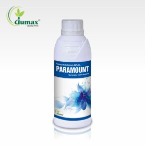 Paramount